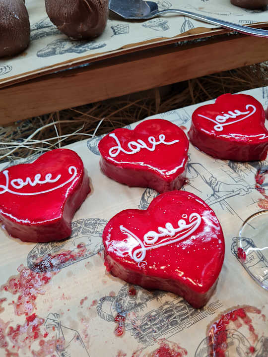 Gastro Seashell Vega