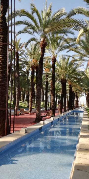 Gartenanlage Monachus Family Resort Sorgun