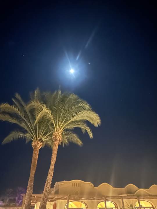 Ausblick Hotel JAZ Makadi Star & Spa