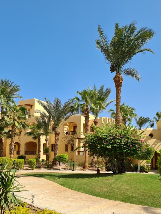 Gartenanlage Steigenberger Coraya Beach - Adults only