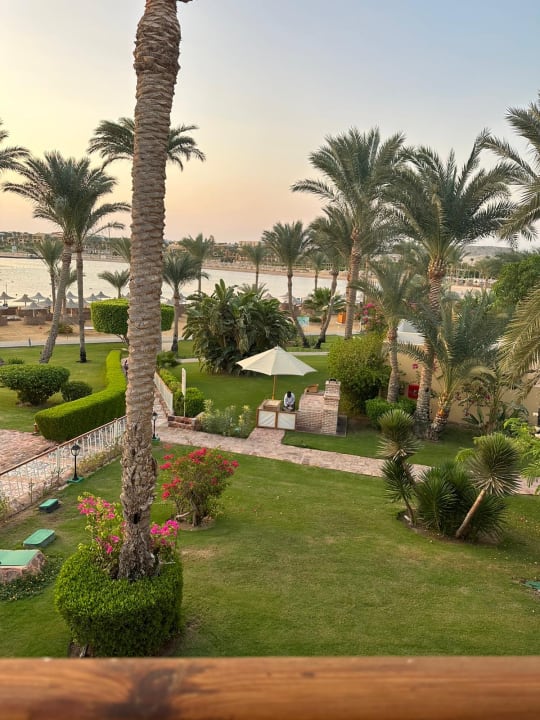 Ausblick Steigenberger Coraya Beach - Adults only