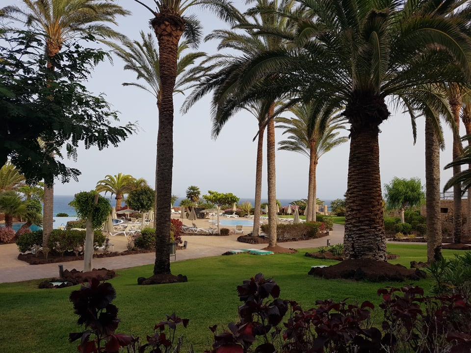 Gartenanlage R2 Pajara Beach
