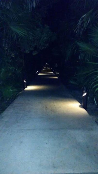 Hotel Catalonia Playa Maroma Catalonia Playa Maroma