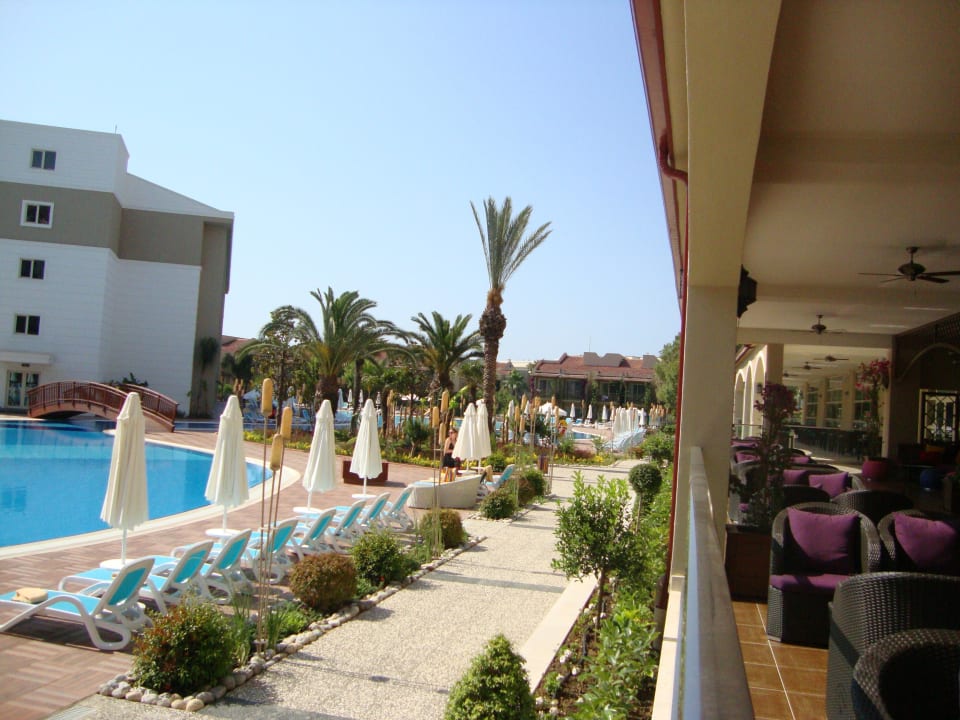 Pool Paloma Oceana