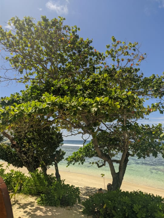 Strand DoubleTree by Hilton Seychelles - Allamanda Resort and Spa