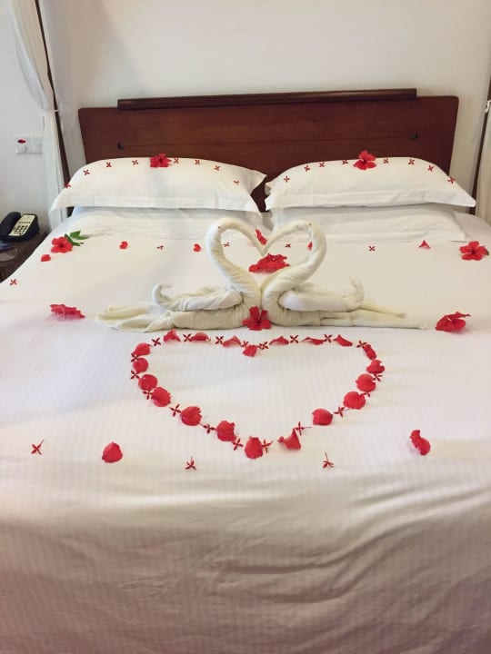 Wie hübsch ! Kuramathi Maldives