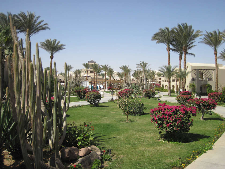 Gepflegt Iberotel Makadi Beach