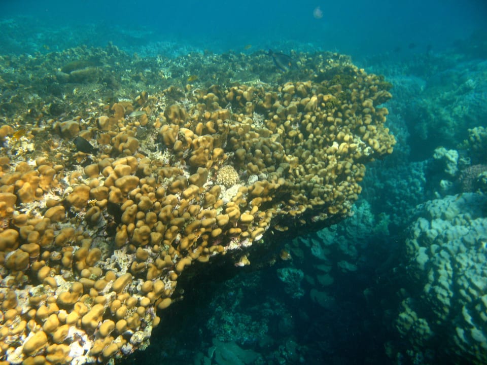 73 Stella Beach Resort & Spa Makadi Bay