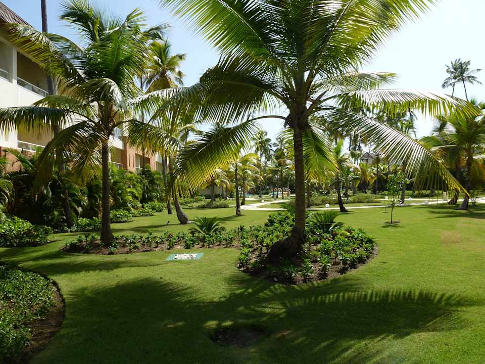 Gartenlandschaft Secrets Royal Beach Punta Cana - Adults only