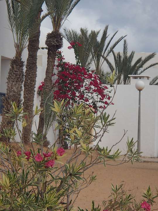 Schööön Hotel El Mouradi Djerba Menzel