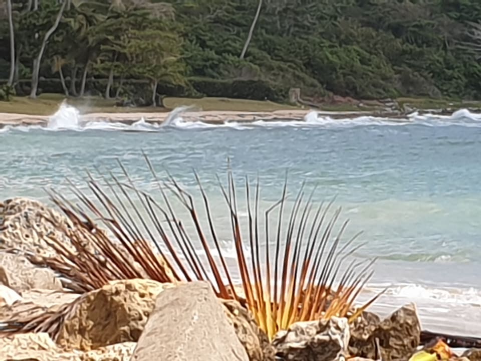 Gastro Playa Esmeralda Beach Resort