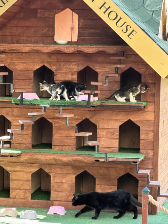 Außenansicht Hotel Delphin Imperial