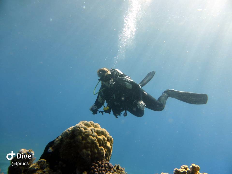 Sonstiges Three Corners Equinox Beach Resort