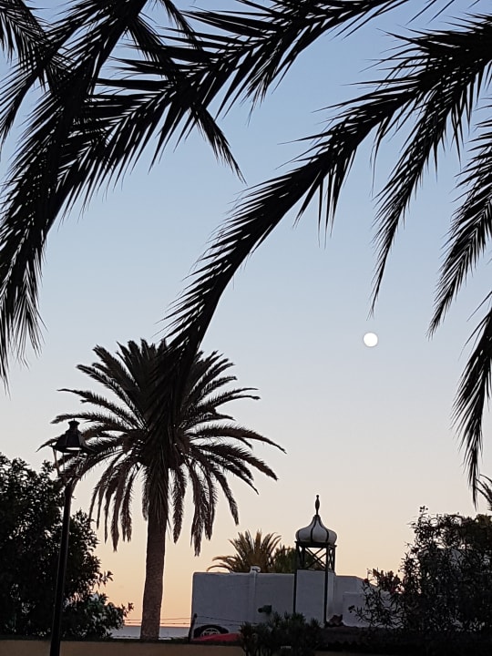 Ausblick Club Excelsior 2