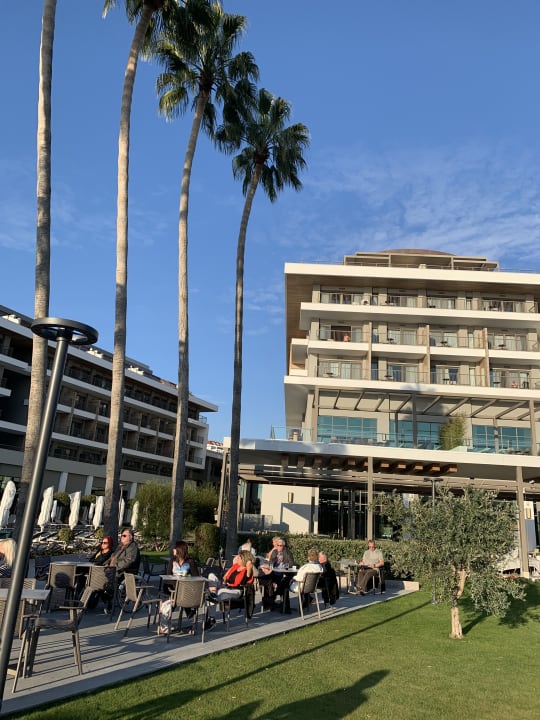 Gastro Acanthus Cennet Barut Collection