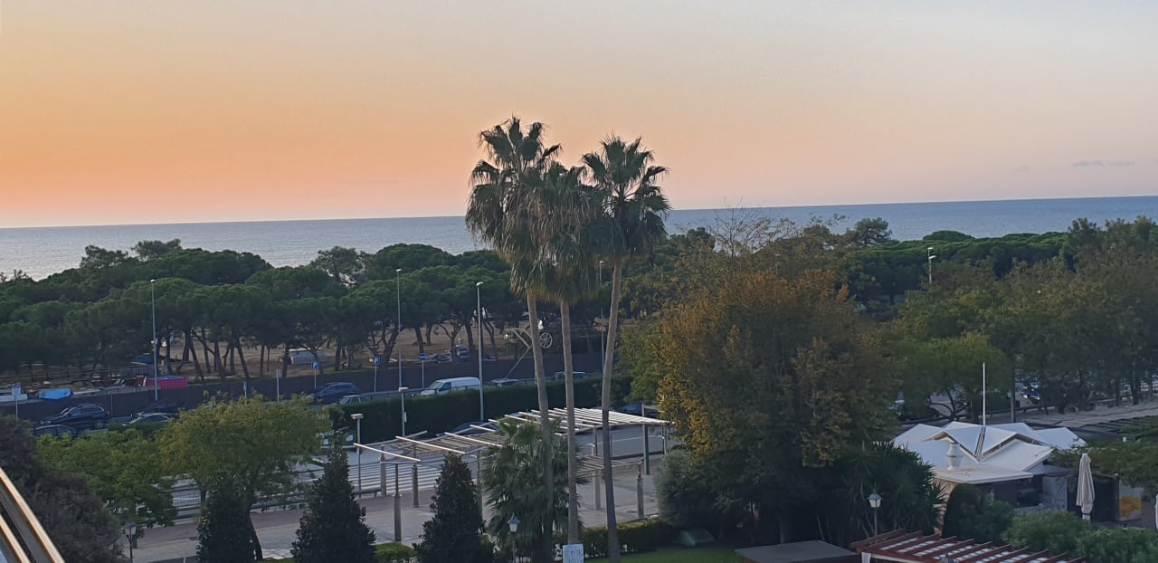 Ausblick ALEGRIA Florida Park