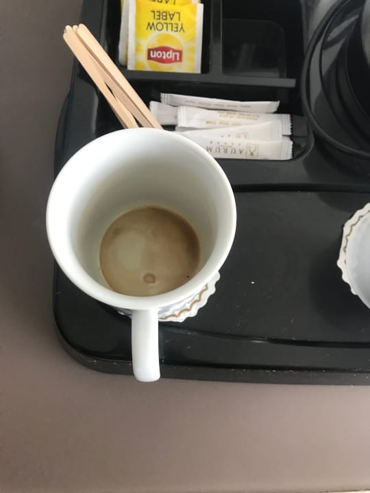 Zimmer Asteria Venus Didim