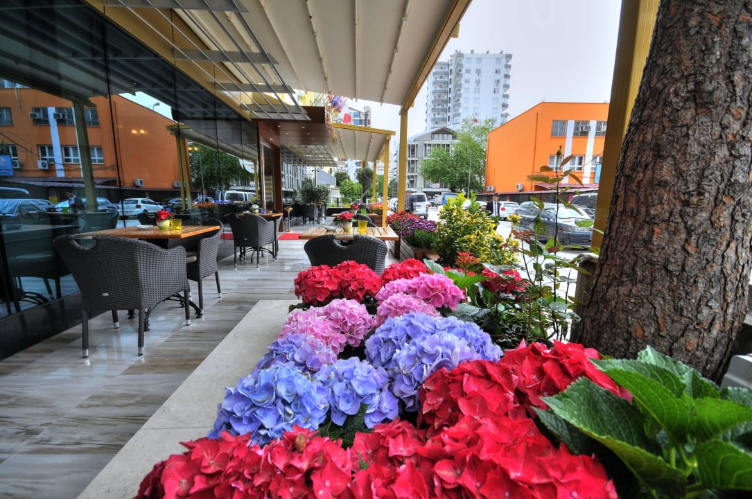 Golden Deluxe Hotel Golden Deluxe  Hotel