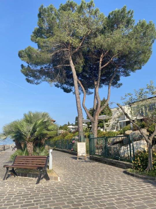 Gartenanlage Park Hotel Casimiro