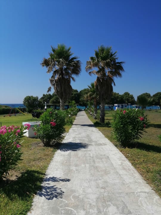 Gartenanlage Costa Angela Seaside Resort