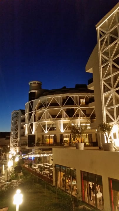 Side Crown Sunshine  Seashell Vega