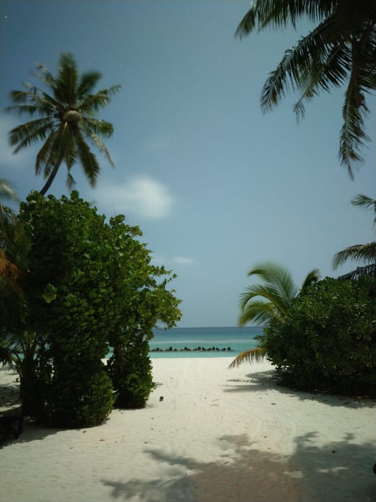 Gartenanlage Kuredu Island Resort & Spa