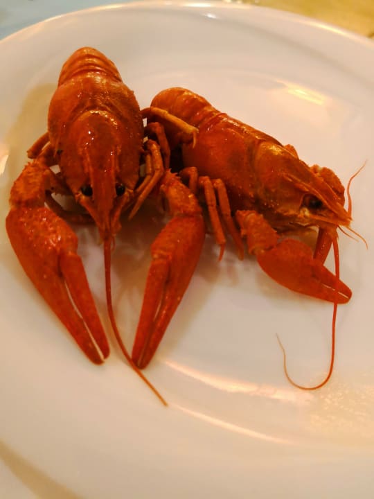 Gastro Saphir Resort & Spa