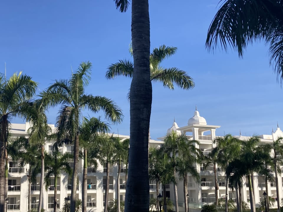 Außenansicht Hotel Riu Palace Punta Cana