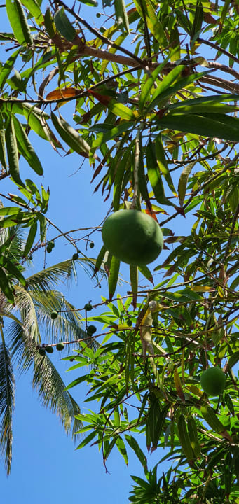 Gartenanlage Nusa Dua Beach Hotel & Spa