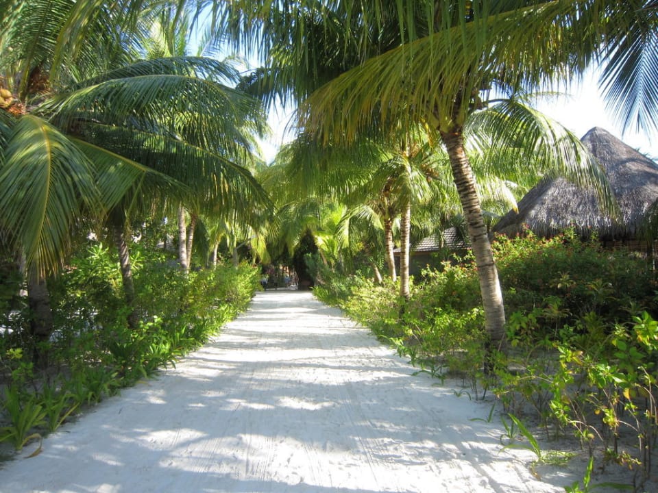 Alles immer sauber Kuredu Island Resort & Spa