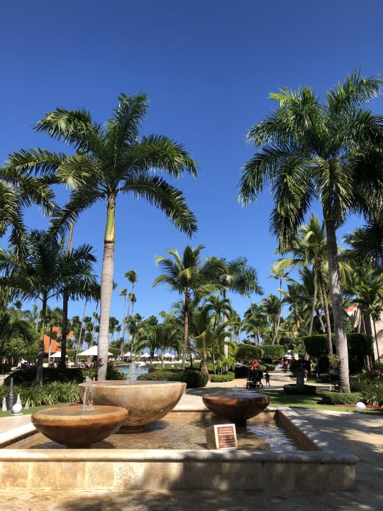 Gartenanlage Wyndham Alltra Punta Cana
