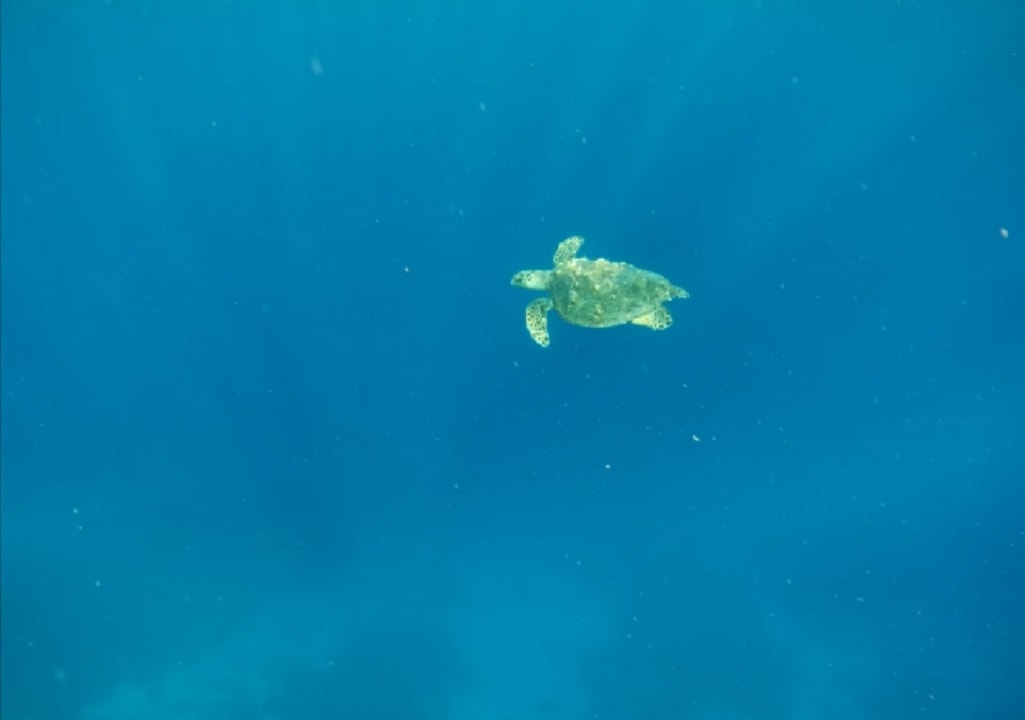 Strand Bliss Nada Beach Resort