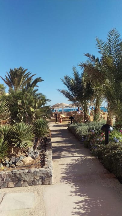 Gartenanlage Hotel Three Corners Ocean View prestige - Adults only