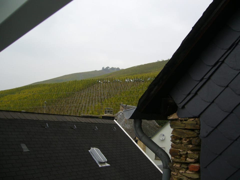 Ausblick vom Bad auf die Weinberge Ratsschänke Zeltingen