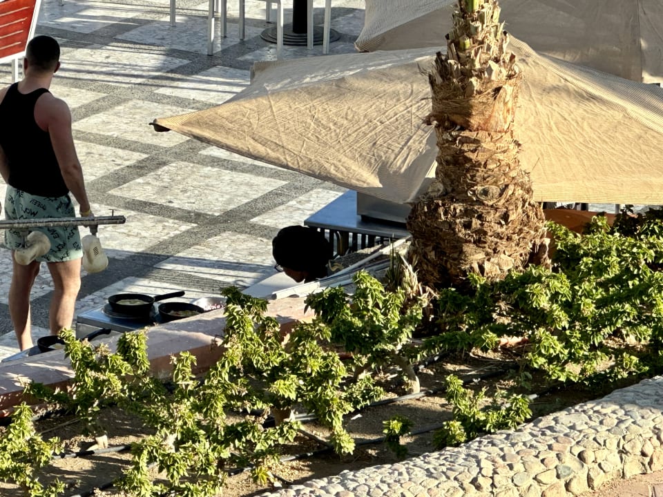 Gartenanlage Pharaoh Azur Resort