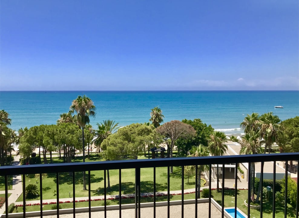 Zimmer Acanthus Cennet Barut Collection