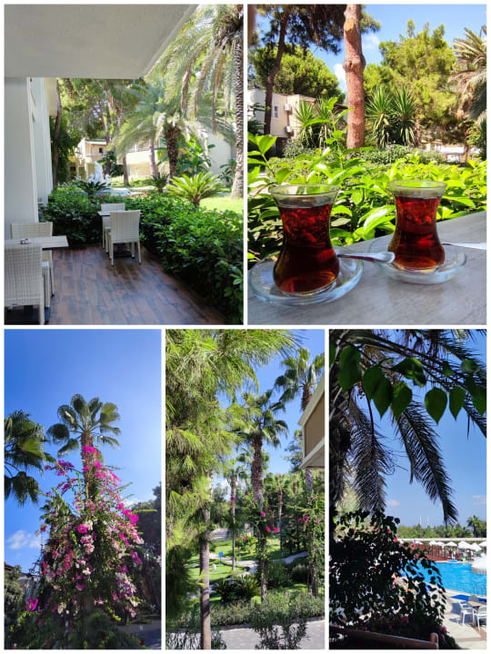 Gartenanlage Club Sidelya Hotel