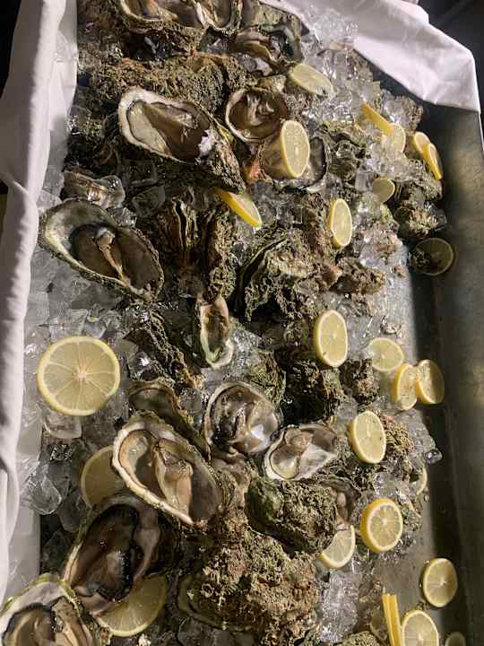 Gastro Delphin BE Grand