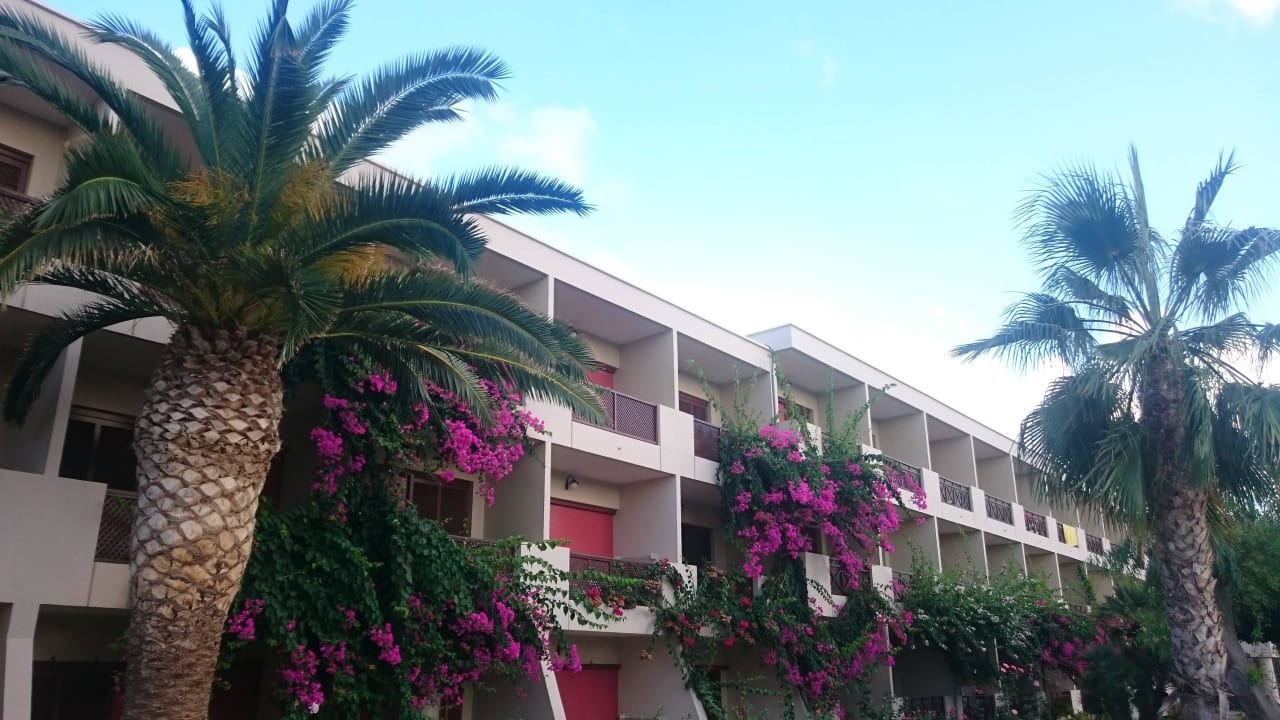  ogród allsun Hotel Malia Beach