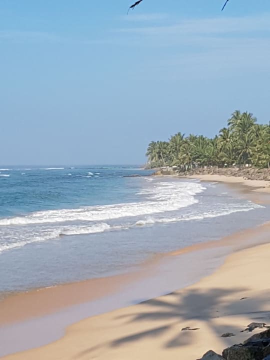 Strand Hotel Haus am Meer Wilde Ananas