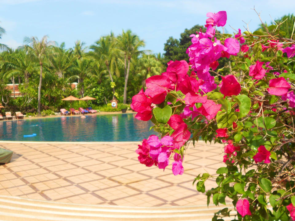 Pool Santiburi Koh Samui