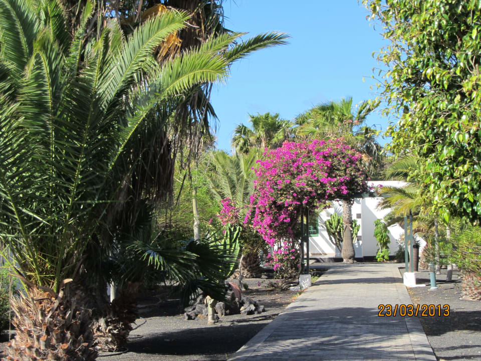 Wege in der Anlage Relaxia Lanzasur Club