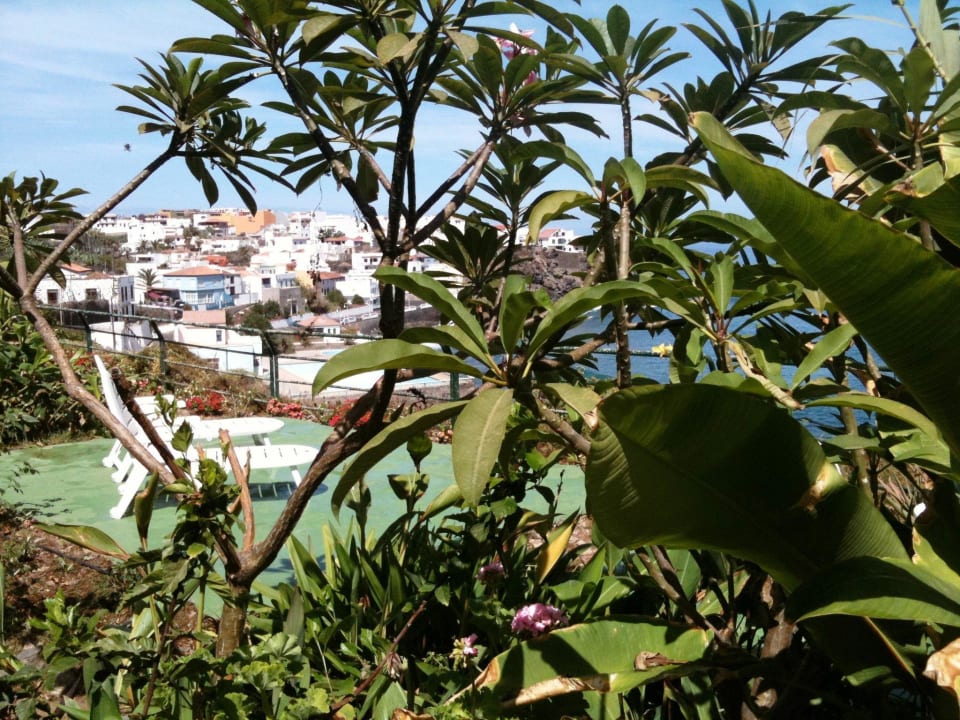 Terraza Finca Los Alenes del Mar