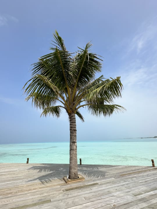Ausblick Jawakara Islands Maldives
