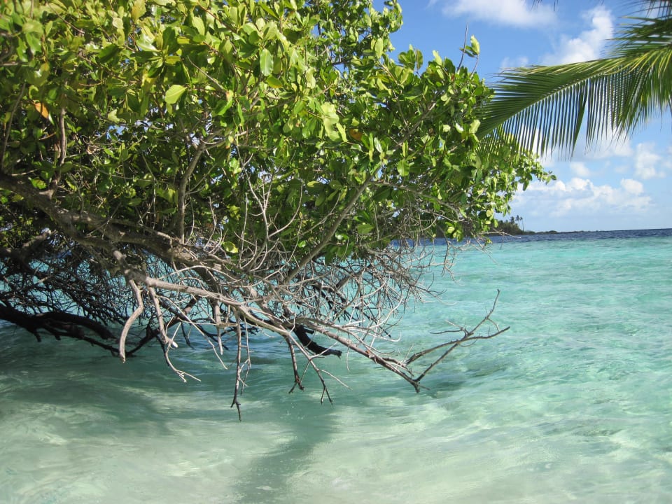 Kristallklares Wasser Biyadhoo Island Resort