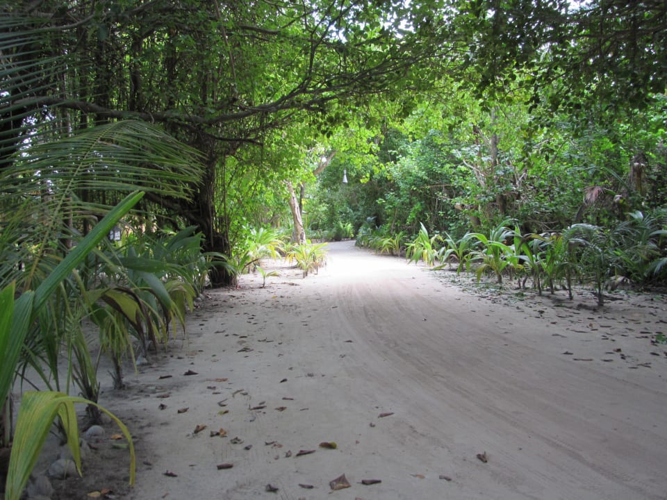 Alle Wege sehr gepflegt  Kuredu Island Resort & Spa