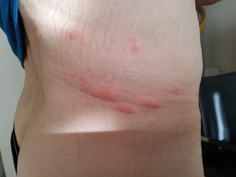 Pool Apartmenthaus Miramare