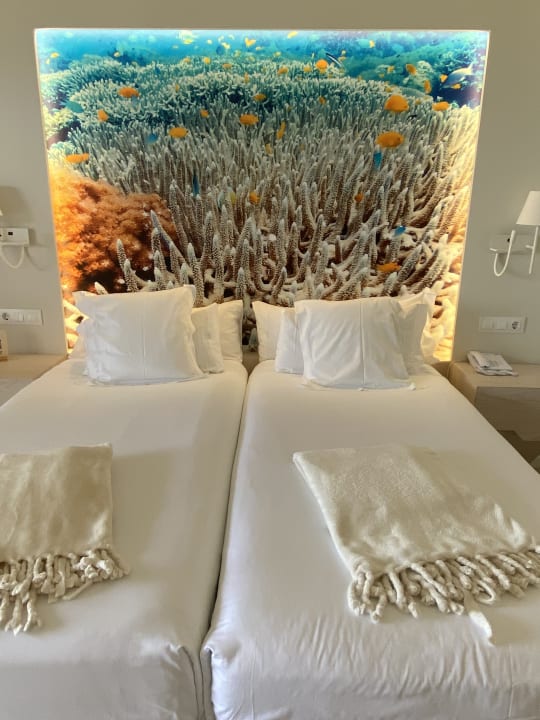 Zimmer Iberostar Selection Fuerteventura Palace