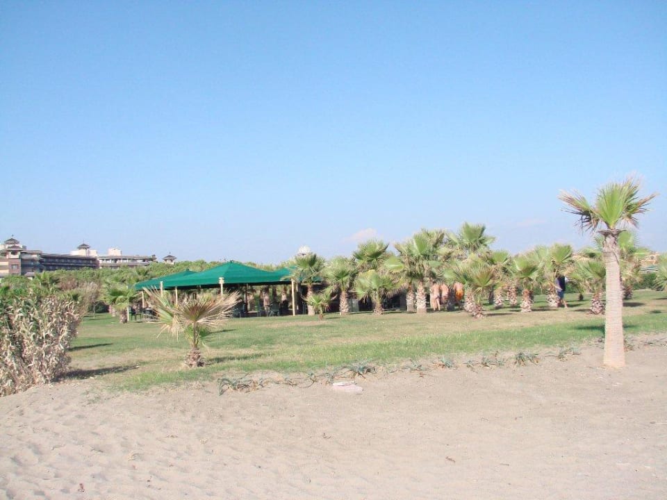 Widok z plaży Xanadu Resort Hotel