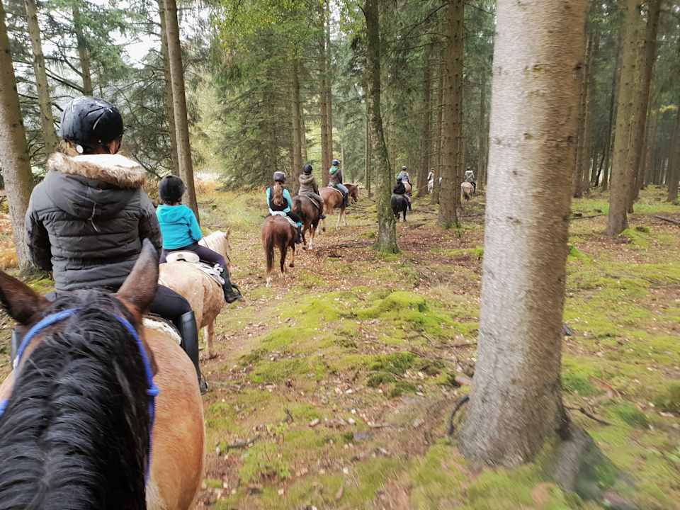 Sport & Freizeit Marxhof (Hürtgenwald) -